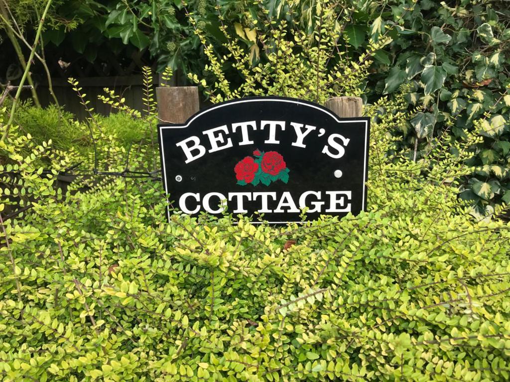 Betty'S Cottage - Traditional Norfolk Farm Cottage Swafield Exterior foto